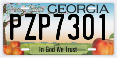 GA license plate PZP7301
