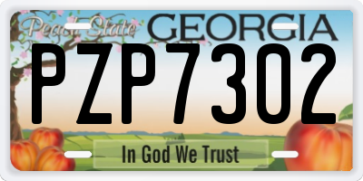 GA license plate PZP7302
