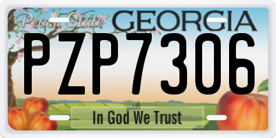 GA license plate PZP7306