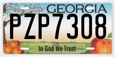 GA license plate PZP7308