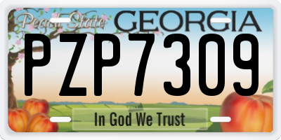 GA license plate PZP7309