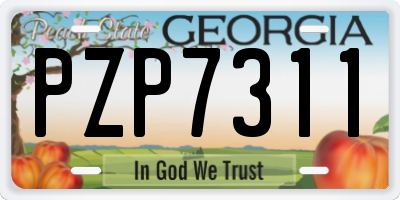 GA license plate PZP7311