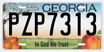 GA license plate PZP7313