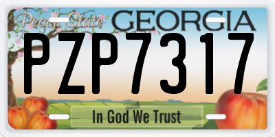 GA license plate PZP7317