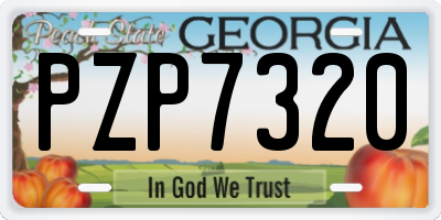 GA license plate PZP7320