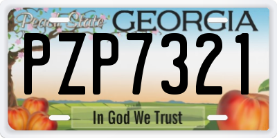 GA license plate PZP7321