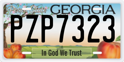 GA license plate PZP7323