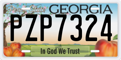 GA license plate PZP7324