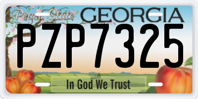 GA license plate PZP7325