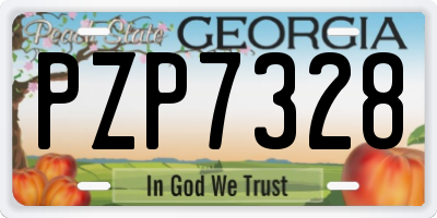 GA license plate PZP7328