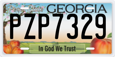 GA license plate PZP7329