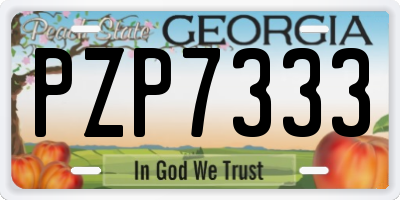 GA license plate PZP7333