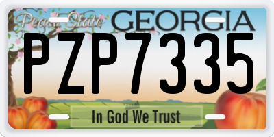 GA license plate PZP7335