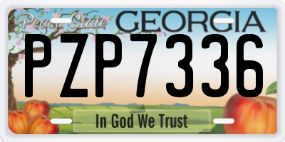 GA license plate PZP7336