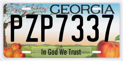 GA license plate PZP7337