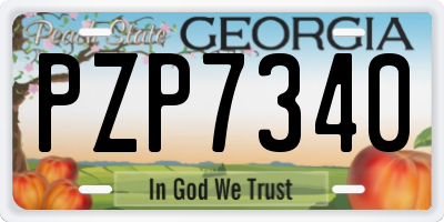 GA license plate PZP7340
