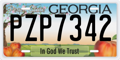 GA license plate PZP7342
