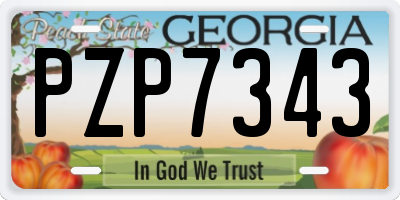 GA license plate PZP7343