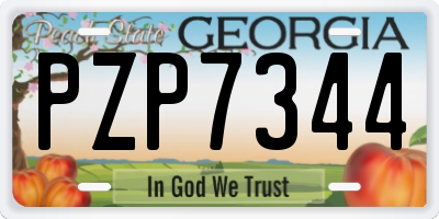 GA license plate PZP7344