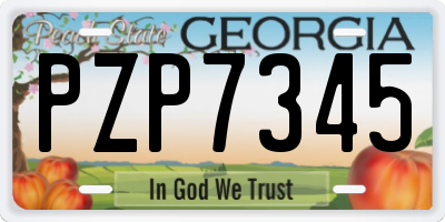 GA license plate PZP7345