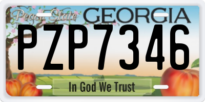 GA license plate PZP7346