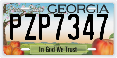 GA license plate PZP7347