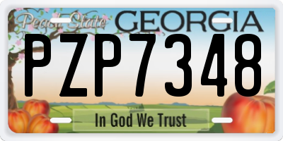 GA license plate PZP7348