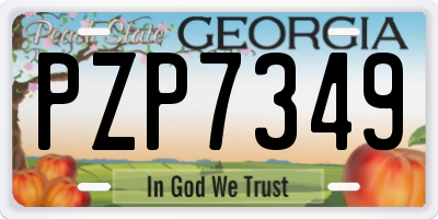 GA license plate PZP7349