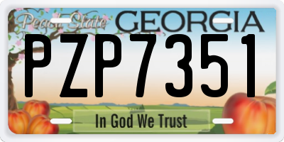 GA license plate PZP7351