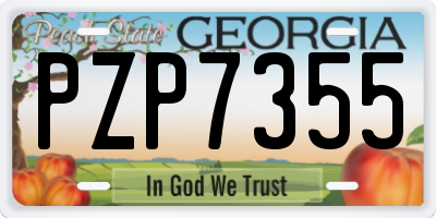 GA license plate PZP7355