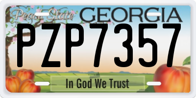 GA license plate PZP7357