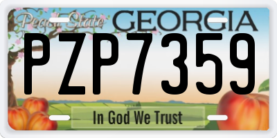 GA license plate PZP7359