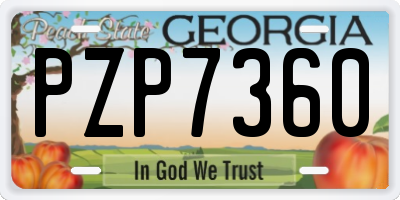 GA license plate PZP7360