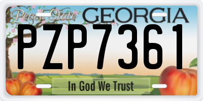 GA license plate PZP7361