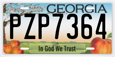 GA license plate PZP7364