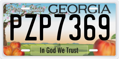 GA license plate PZP7369