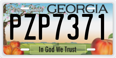 GA license plate PZP7371