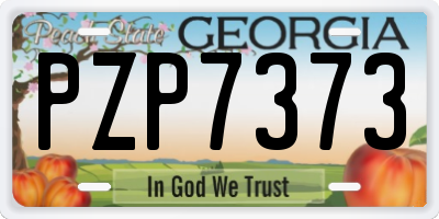 GA license plate PZP7373