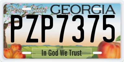 GA license plate PZP7375