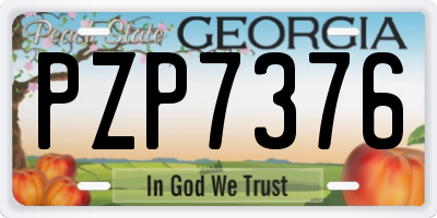 GA license plate PZP7376