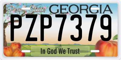GA license plate PZP7379
