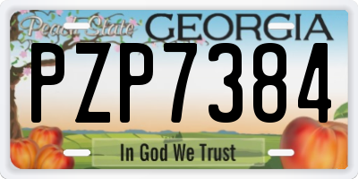 GA license plate PZP7384