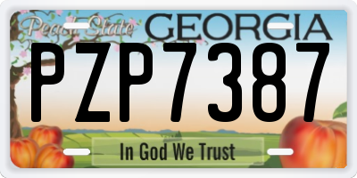 GA license plate PZP7387