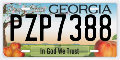 GA license plate PZP7388