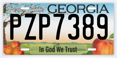 GA license plate PZP7389