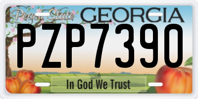 GA license plate PZP7390