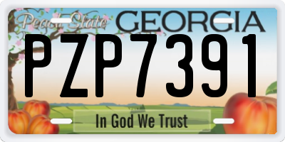 GA license plate PZP7391