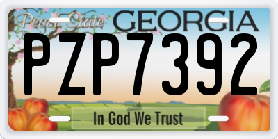 GA license plate PZP7392