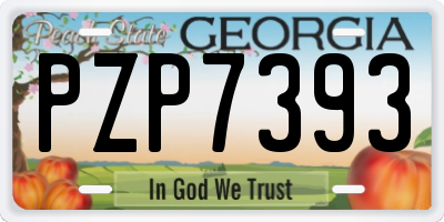 GA license plate PZP7393