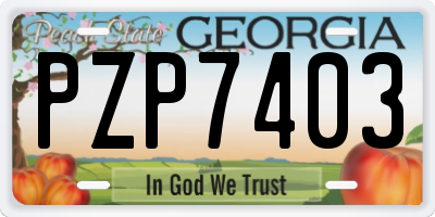 GA license plate PZP7403
